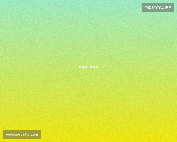 奥迪欧洲赛事,奥迪比赛成绩